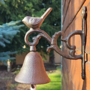 Dzwonek ptaszek w ogrodzie