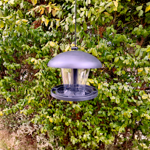 Karmnik dla ptak&oacute;w plastikowy