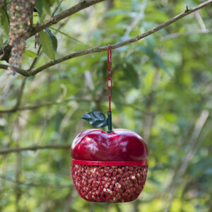 Karmnik dl apaków w kształcie czerwonego jabłka