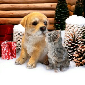 labrador i kotek przy prezentach