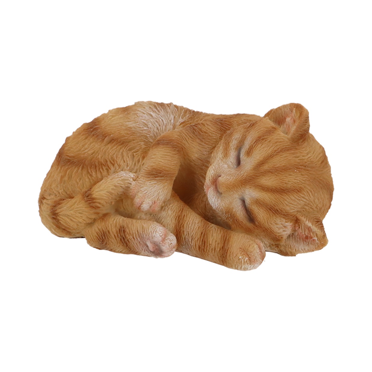 rudy śpiący kotek