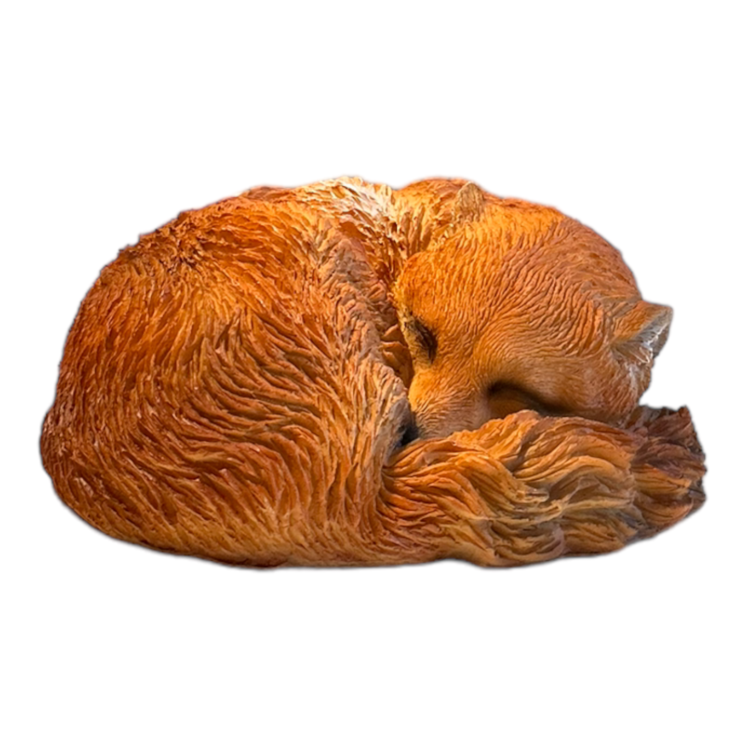 spokojnie śpiący lis