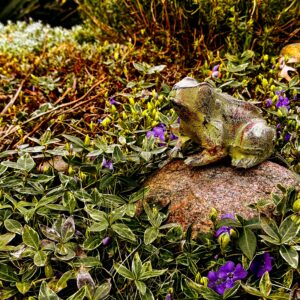 żeliwna żaba na kamieniu