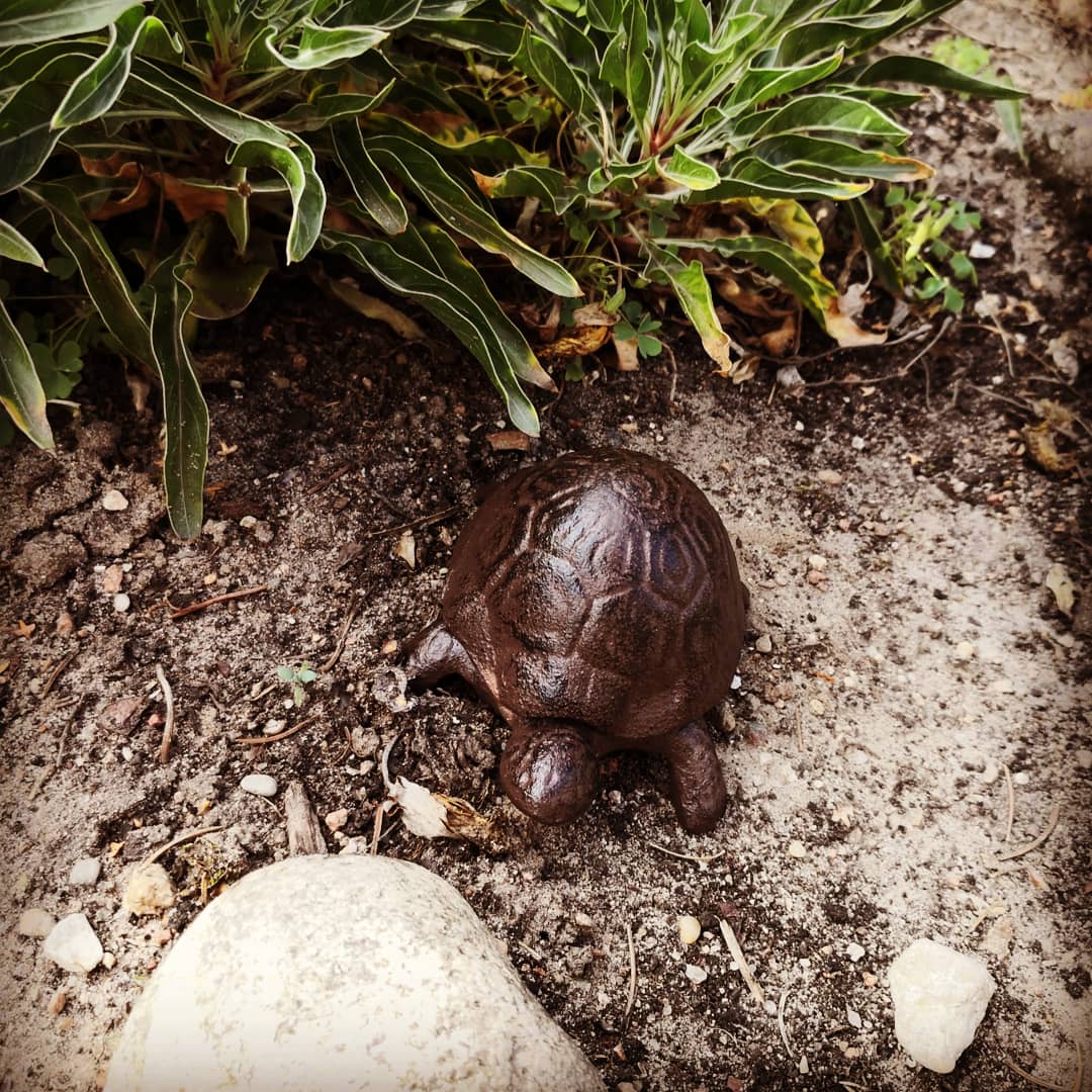 żółw żeliwny ozdoba do ogrodu